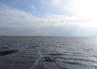 IMG 1329