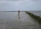 IMG 3393