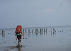 IMG 3395