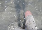 IMG 3400