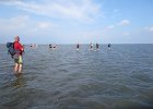 IMG 3403