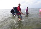 IMG 3409