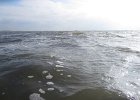 IMG 3416