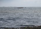 IMG 3421