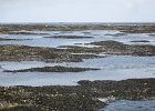 IMG 3422