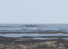 IMG 3423