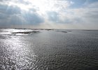 IMG 3426
