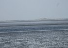 IMG 3431