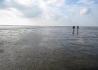 IMG 3435