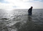 IMG 3439
