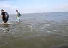 IMG 3441