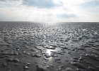 IMG 3442