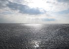 IMG 3443