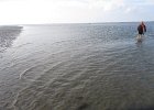 IMG 3444
