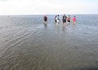 IMG 3445