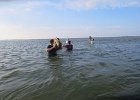IMG 3452