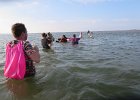 IMG 3454