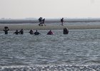 IMG 3456
