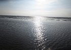 IMG 3458