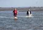 IMG 3461
