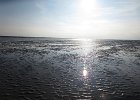 IMG 3462