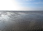 IMG 3463