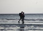 IMG 3466