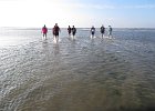 IMG 3467
