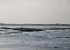 IMG 3470