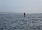IMG 3471