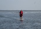 IMG 3472
