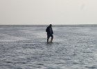 IMG 3473