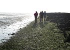 IMG 3477