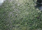 IMG 3478