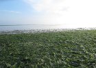 IMG 3481