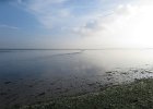 IMG 3482