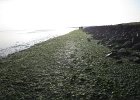 IMG 3483