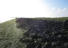 IMG 3484