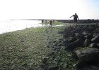 IMG 3485