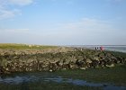 IMG 3486