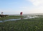 IMG 3489