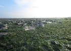 IMG 3496