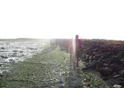 IMG 3497