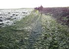 IMG 3498