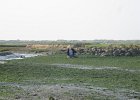 IMG 3499