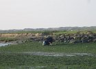 IMG 3500