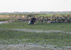 IMG 3501
