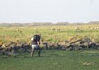 IMG 3502