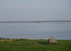 IMG 3508