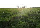 IMG 3509
